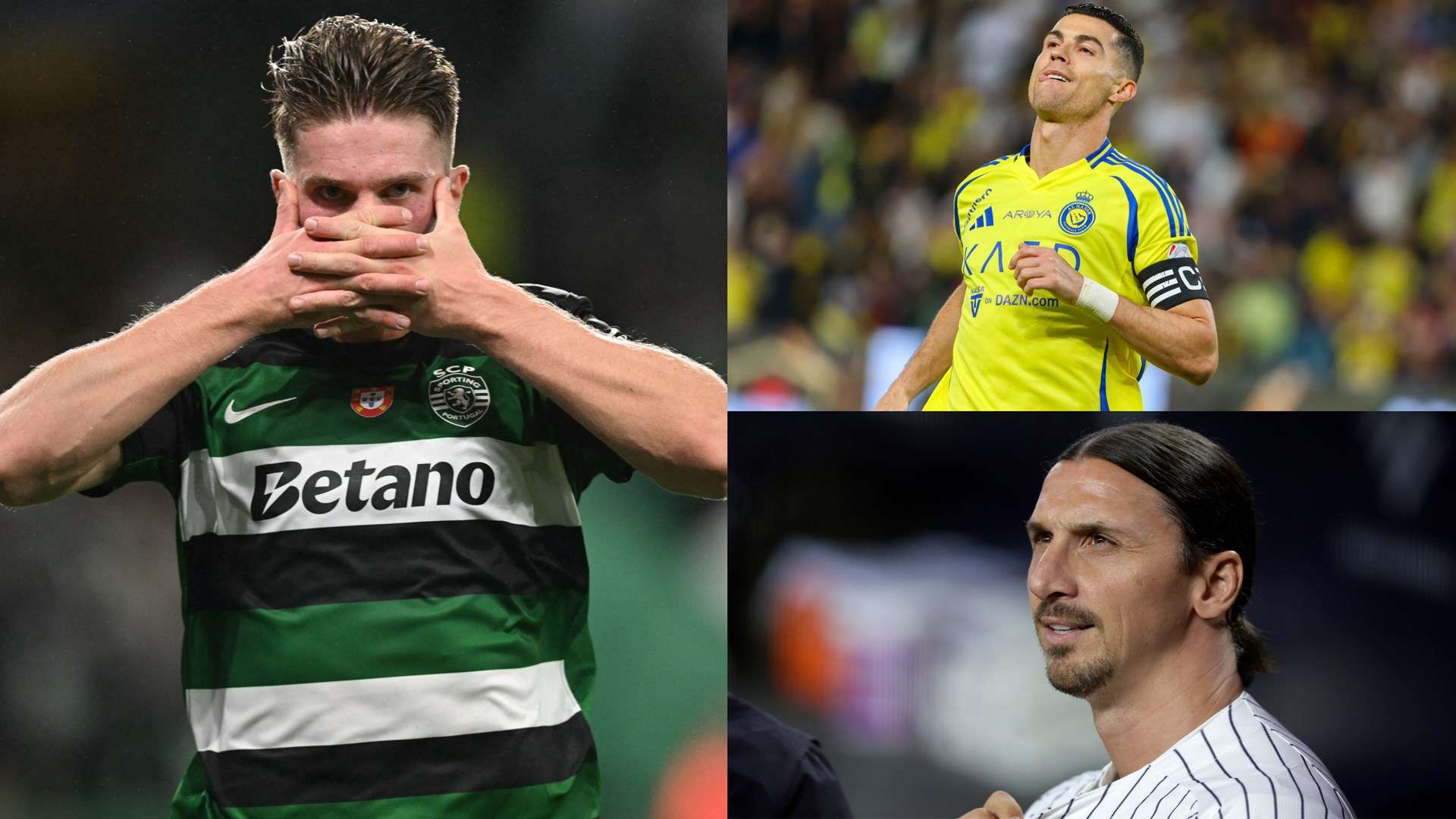 职业技能的 职业技能的